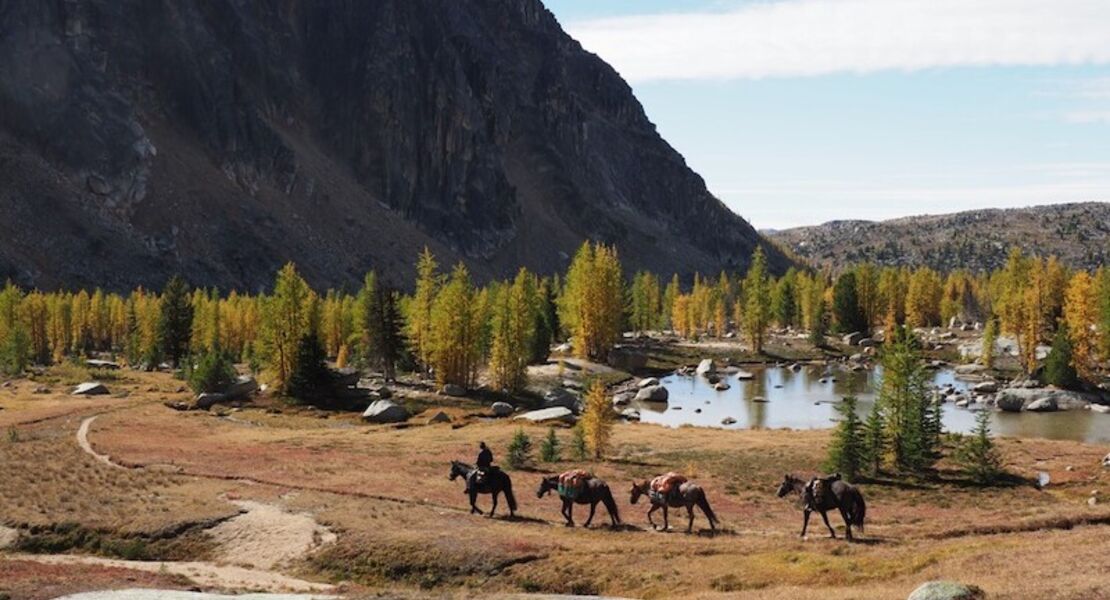 long-way-home-zu-pferd-durch-amerika-multivisionsshow