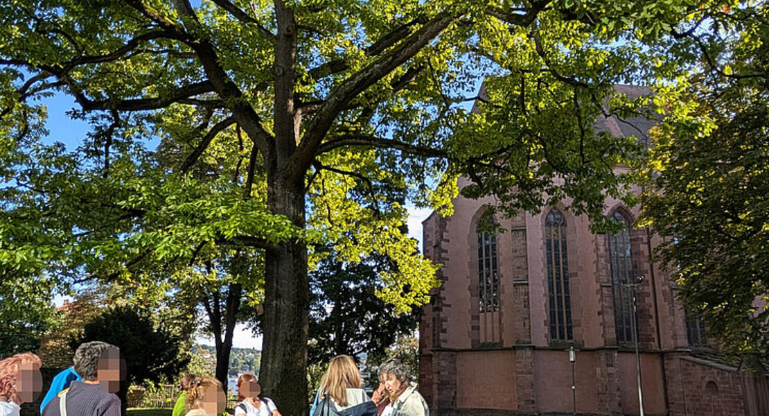 klima-spaziergang-in-der-woche-der-klimaanpassung