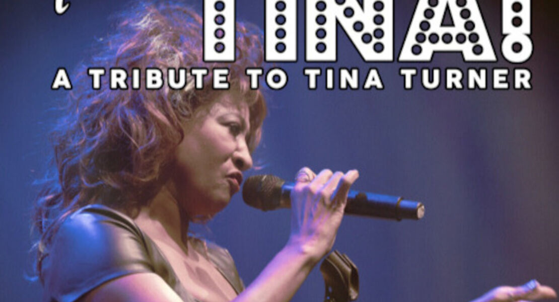this-is-tina-simply-the-best-tribute-to-tina-turner