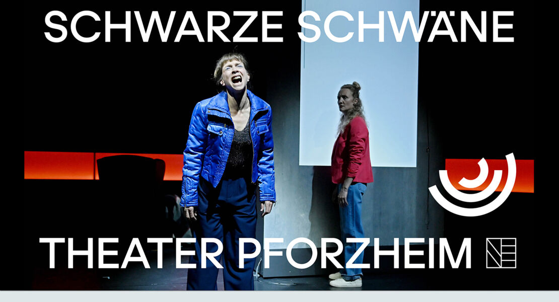schwarze-schwane