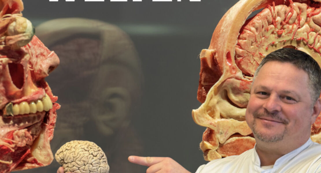 ein-anatomie-abenteuer-uber-das-leben