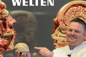 Ein Anatomie-Abenteuer über das Leben