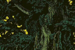 Die Holländerinnen - Dorothee Elmiger