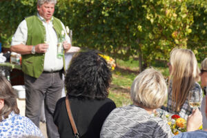 SummerWine im Bad Krozinger Rebberg