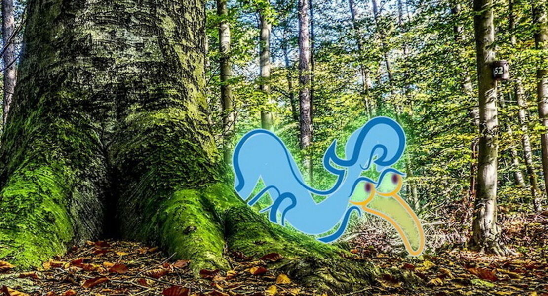 halloween-meets-elwetritsche-jagd